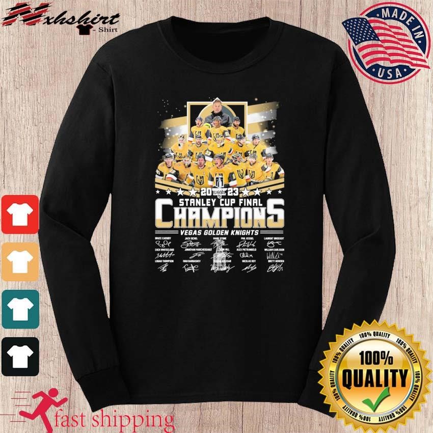 Official Pittsburgh Steelers AFC North Champions 2020 Won Not Done shirt,  hoodie, sweater, long sleeve and tank top