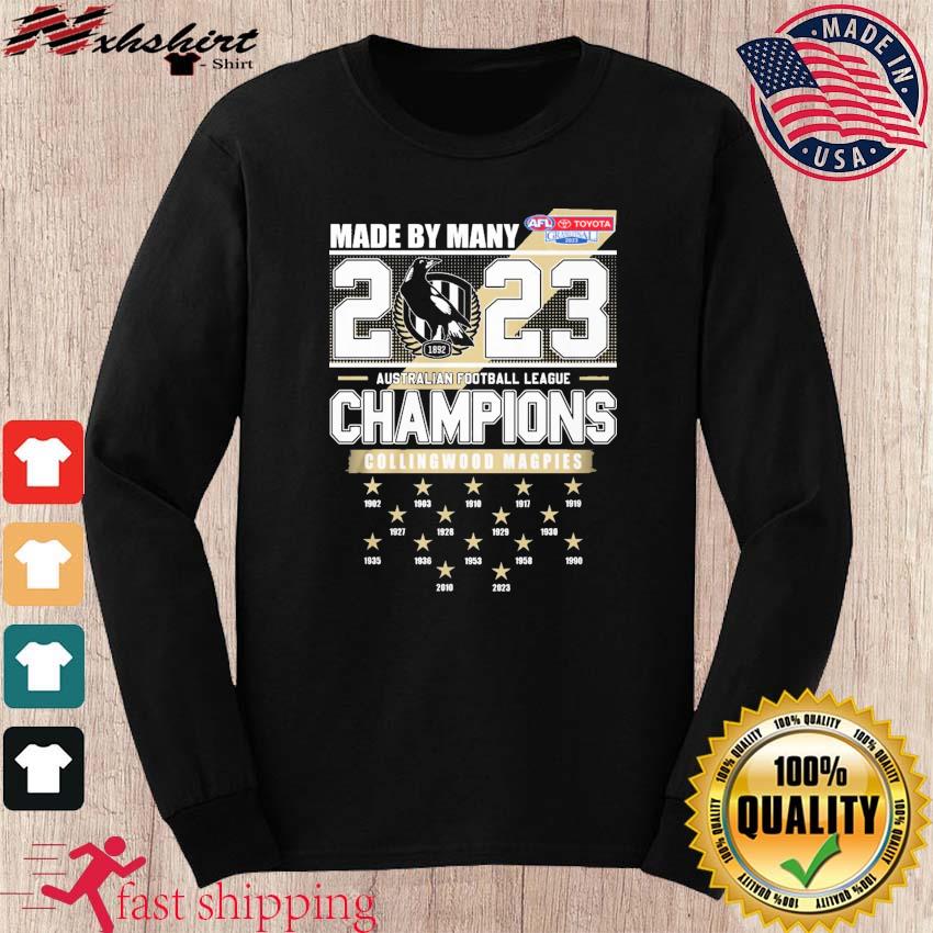 New Orleans Saints 2020 NFC South Division Champions shirt, hoodie,  sweater, long sleeve and tank top