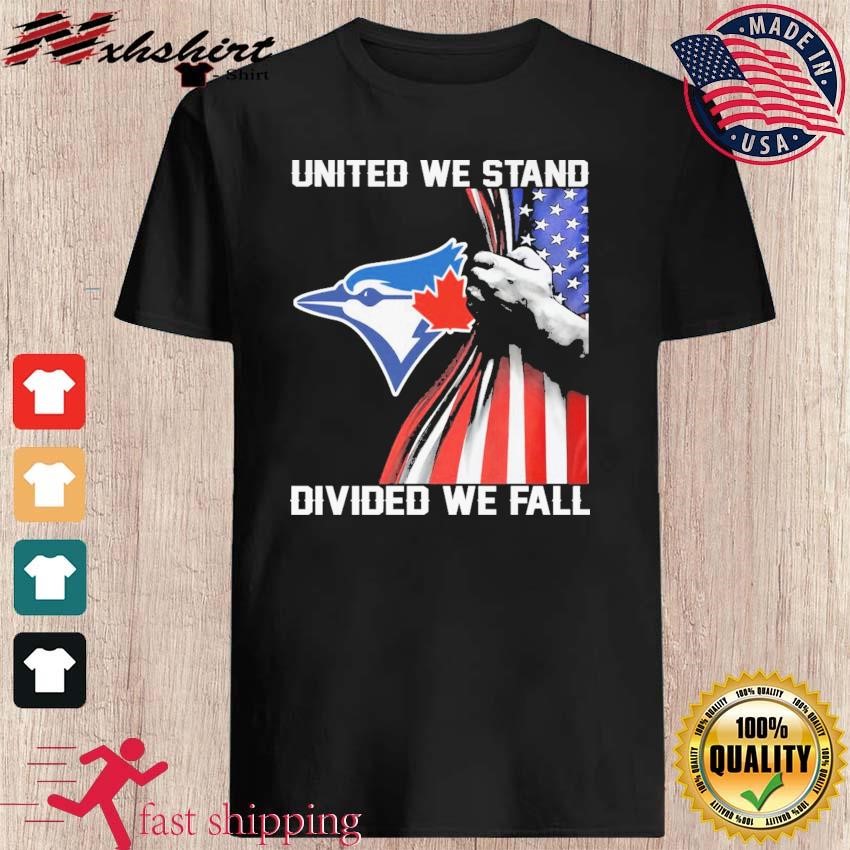 Chicago White Sox united we stand divided we fall American flag